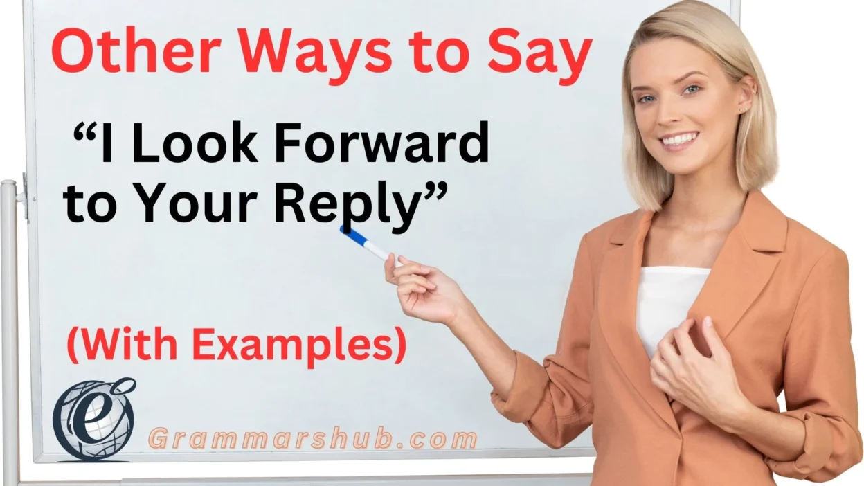 I Look Forward to Your Reply