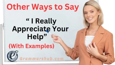 I Really Appreciate Your Help